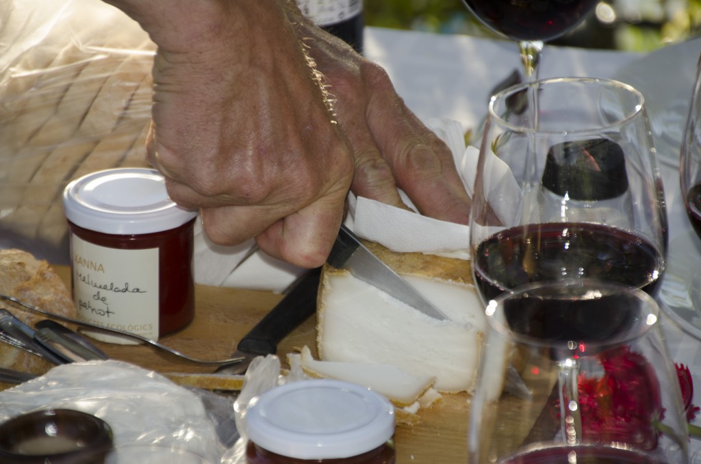 Berenars amb formatges artesans que mariden a la perfecció amb melmelades casolanes i una copa d'un cupatge excel·lent d'Ull de llebre i Syrah de la D.O. Costers del Segre