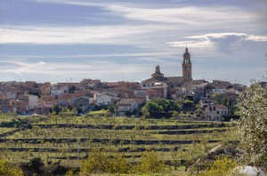 Oleoturisme a La Granadella (Les Garrigues)