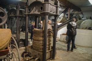 Premsa i cofins d'espart a l'antic molí de la Cooperativa de La Granadella