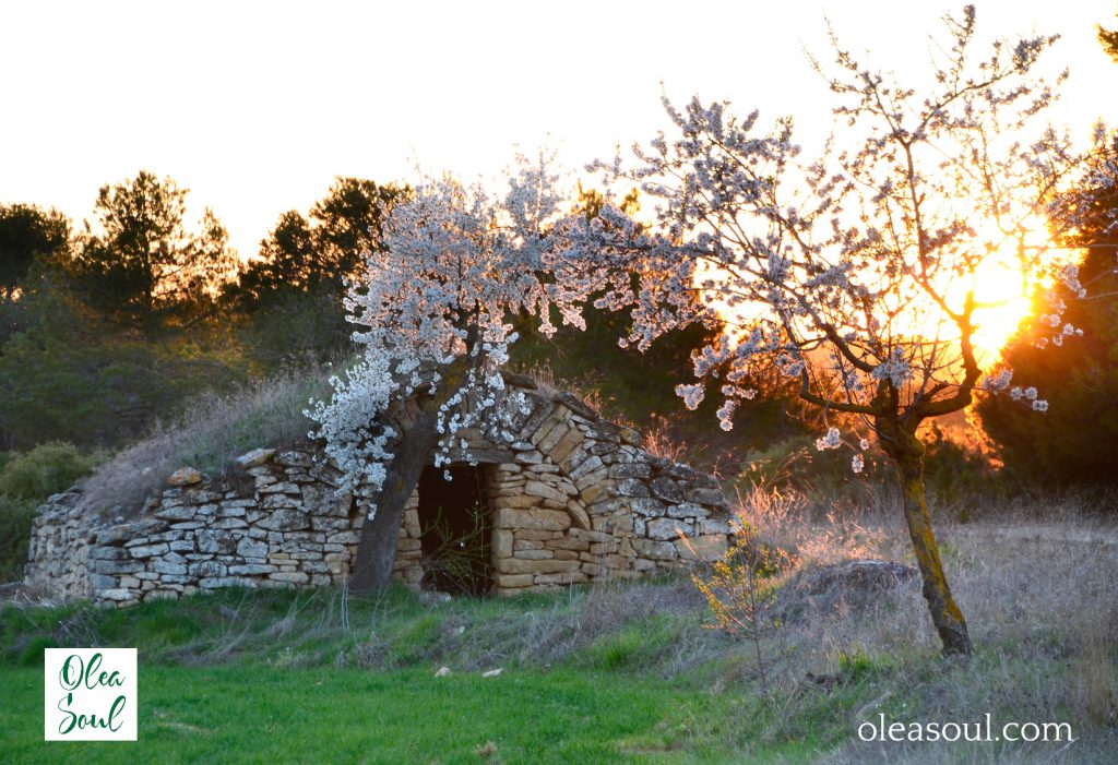 Cabana ametller florit Olea Soul